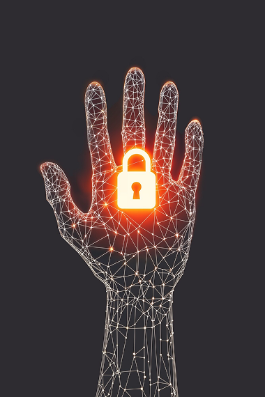 Bug Detection and Resolution